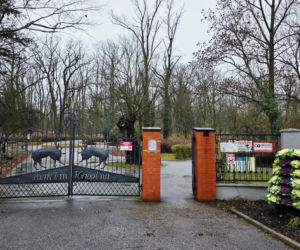 Park Chopina już bezpieczny