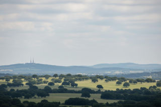 Małopolska otrzymała miliony na bezpieczeństwo. Co tak naprawdę za to kupiono?