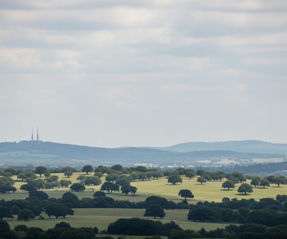 Obszar falistych, zielonych wzgórz rozciąga się pod zachmurzonym, jasnoszarym niebem. Na pierwszym planie, ciemnozielone drzewa o krzaczastych koronach gęsto pokrywają pofałdowany teren. Dalej, jasnozielone pastwiska usiane są pojedynczymi, rozłożystymi drzewami o ciemnozielonych liściach, tworząc nieregularny wzór. W tle, pasma niebieskawo-szarych wzgórz oddalają się w kierunku horyzontu, a na szczycie jednego z nich widoczne są dwie, wysokie wieże transmisyjne.