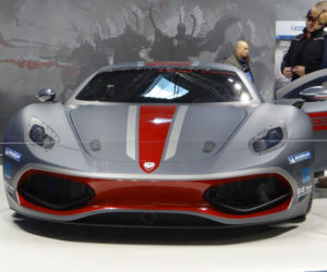 Arrinera Hussarya 