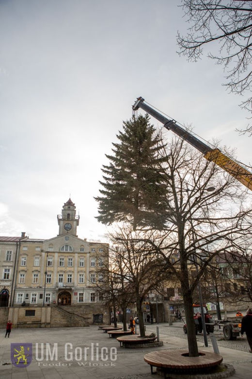 Gorlice: Na rynku już stoi choinka. Jest piękna. MUSISZ ją zobaczyć
