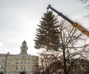 Gorlice: Na rynku już stoi choinka. Jest piękna. MUSISZ ją zobaczyć