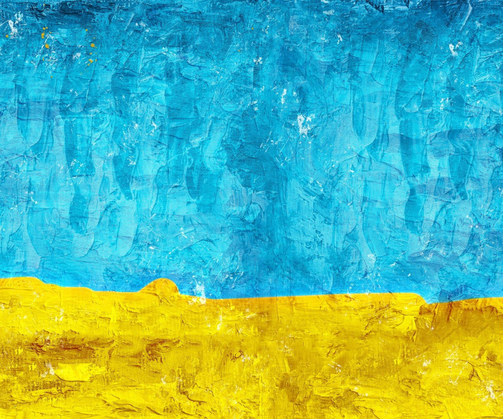 Ukraina Płock