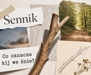 Kij we śnie: znaczenie snu. Kiedy to ostrzeżenie, a kiedy wsparcie