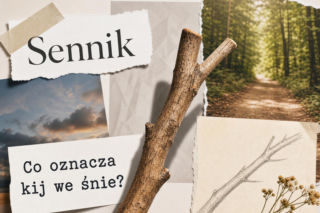 Kij we śnie: znaczenie snu. Kiedy to ostrzeżenie, a kiedy wsparcie