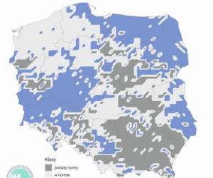 Pogoda na sierpień 2020: Długoterminowa prognoza pogody