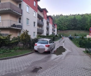 To nie moja wina, że mam duży samochód. Winne auto, nie kierowca? [ZDJĘCIA]