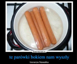 Polska Kolumbia - memy