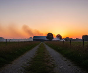 Pożar stodoły w gminie Śmigiel. Jak uratowano zwierzęta przed ogniem?