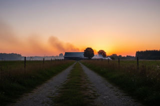 Pożar stodoły w gminie Śmigiel. Jak uratowano zwierzęta przed ogniem?