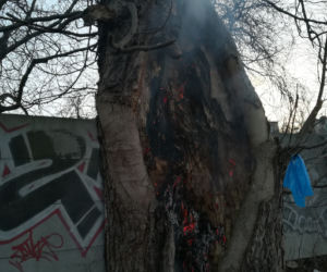 Urządził sobie śmietnik w drzewie. O krok od tragedii