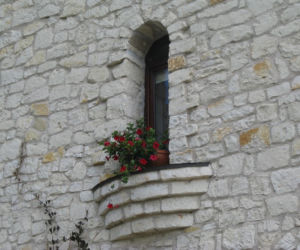 Zdjęcie 5852