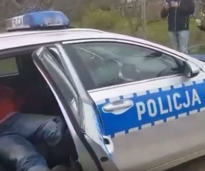 Zatrzymania Gienka z Plutycz przez policję