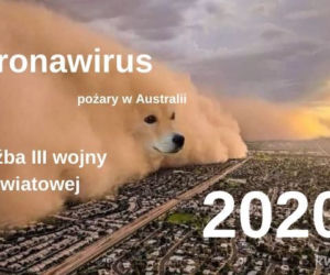 Koronawirus dotarł do Polski. Jest pierwszy przypadek. Zobacz najlepsze memy