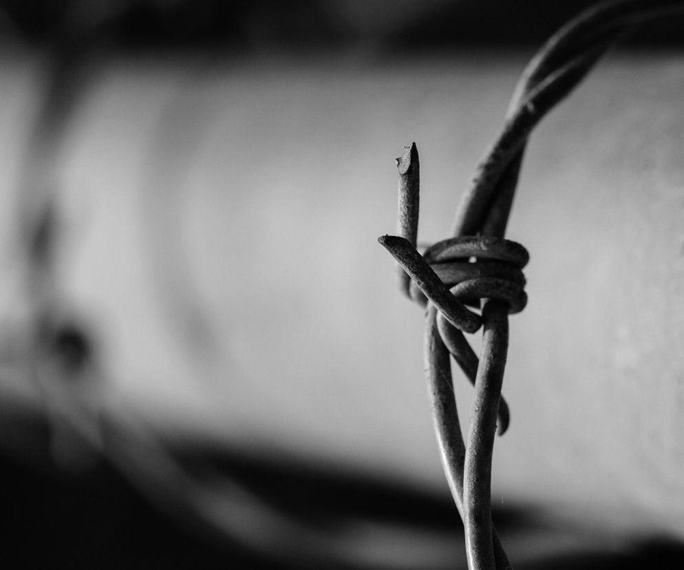 Wywieźli kolegę za miasto i zamordowali. Nadal nie chcą się przyznać do JEDNEGO