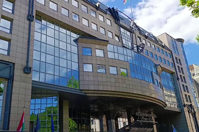 Drzewo pamięci Michaela Jacksona w Budapeszcie