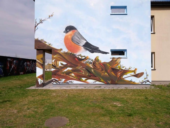 Nowy mural w mieście! Czerwony gil ozdobił ścianę budynku przy ul. Mieszka I w Siedlcach