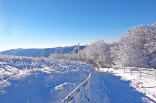  Bieszczady.  Zagrożenie lawinowe! WAŻNY komunikat dla turystów
