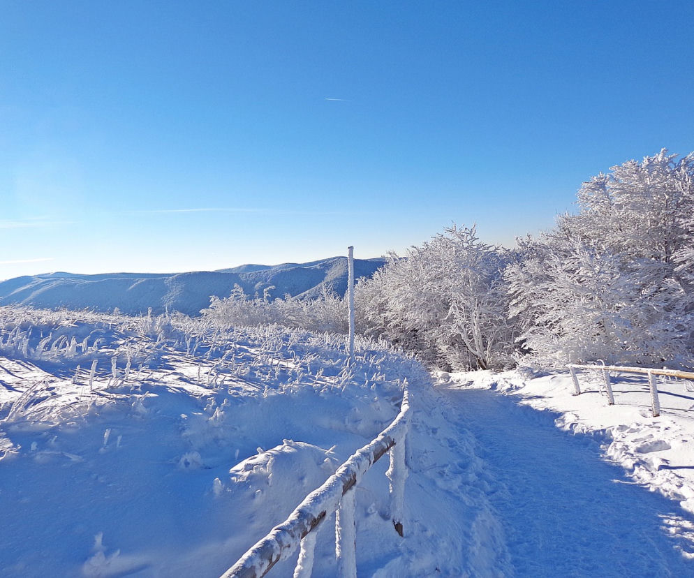 Bieszczady. Wybierasz się w góry? Szlak na Połoninę Caryńską zamknięty!