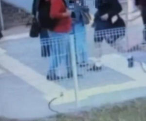 Schodziła po schodach, nagle obcy mężczyzna kopnął ją w głowę. Tłumaczenie poraża: Wydawało mi się...