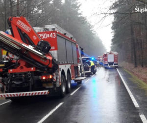 Urwała mu się naczepa i zmiażdżyła osobówkę. Kierowca powędruje do więzienia