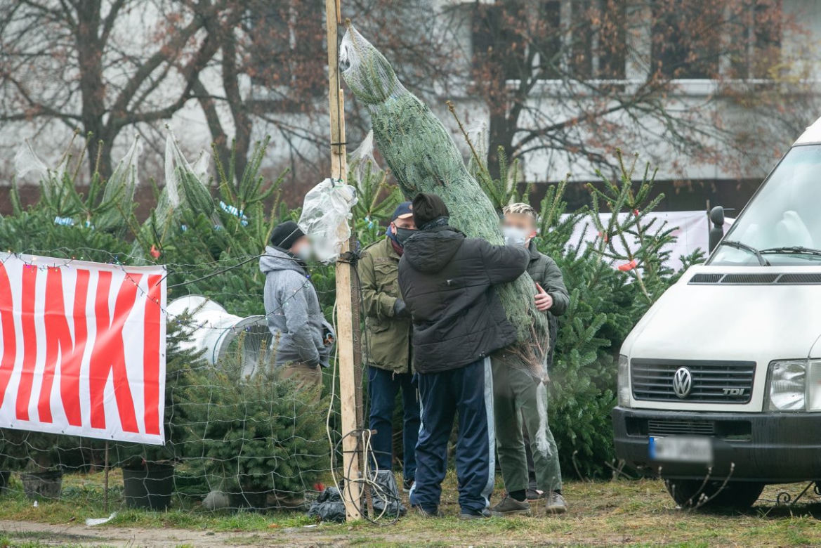 Paweł Kowal. Pojedynek na choinki
