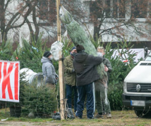 Paweł Kowal. Pojedynek na choinki