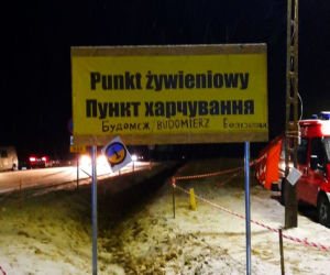 Policjant z Gorzowa pomógł uratować 29 psów z Ukrainy