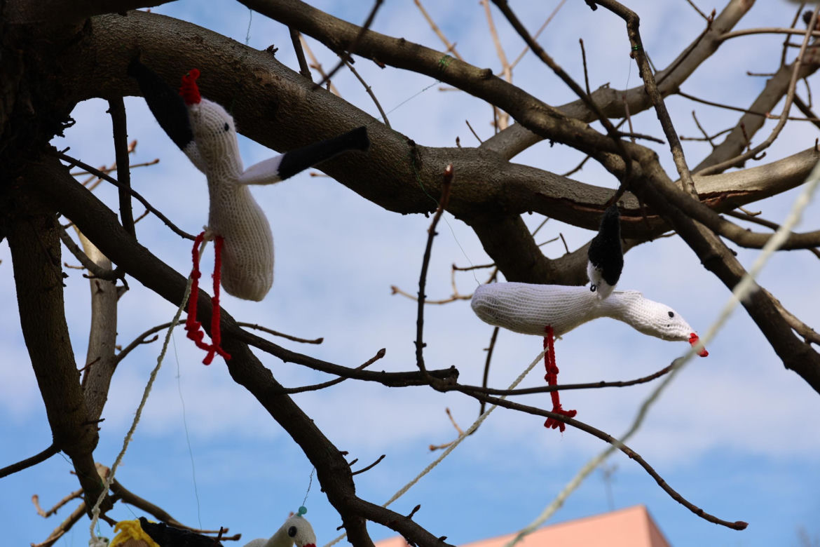 Kolorowe instalacje opanowały Lublin. Tak „Otulanie włóczką” świętuje swoje 10. urodziny!