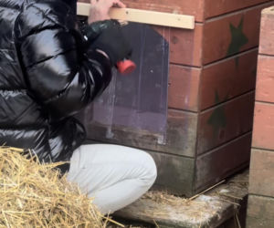 Doda ratuje psy przed mrozem