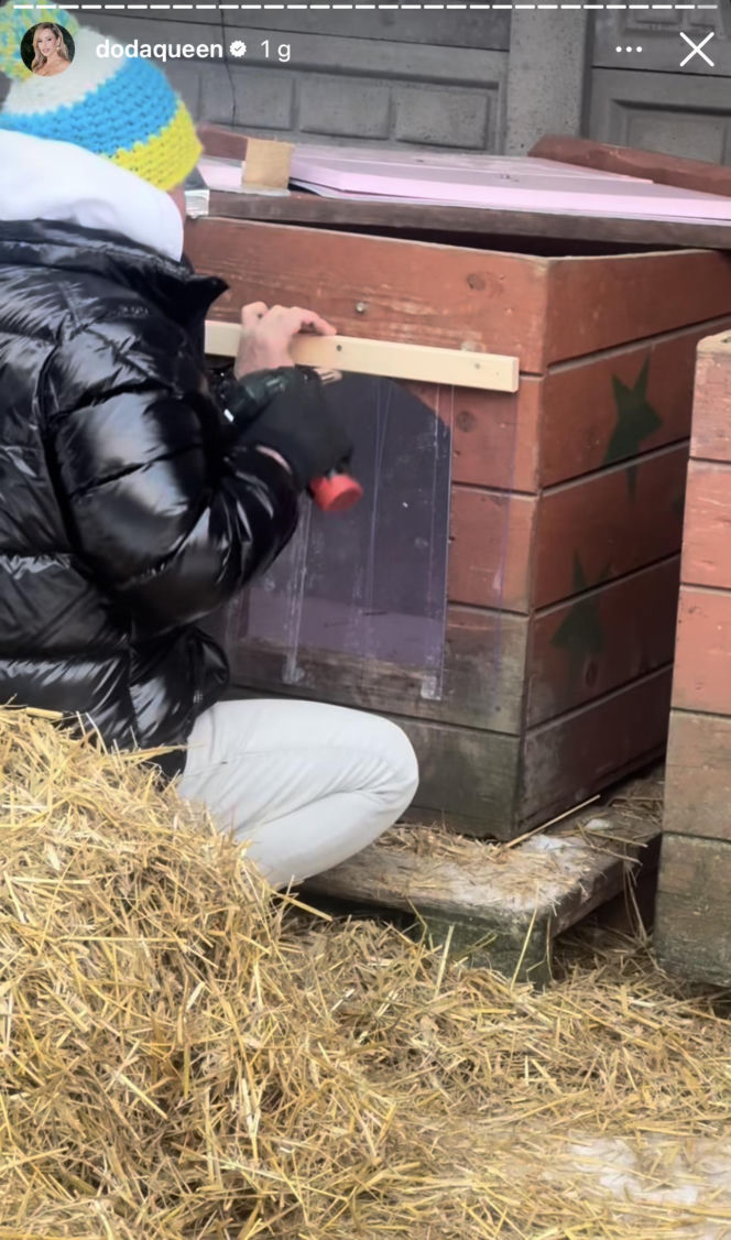 Doda ratuje psy przed mrozem