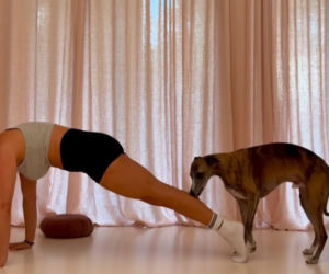 Marcin Prokop i Maria Prokop: Kiedy się rozstali?