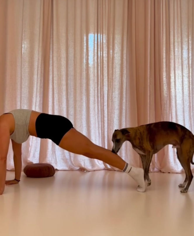 Marcin Prokop i Maria Prokop: Kiedy się rozstali?