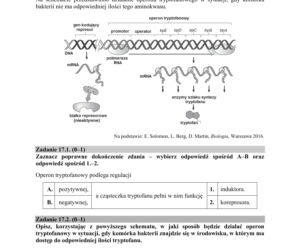 ARKUSZE CKE - Matura biologia 2019