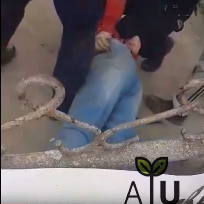 Zatrzymania Gienka z Plutycz przez policję