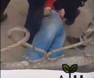 Zatrzymania Gienka z Plutycz przez policję