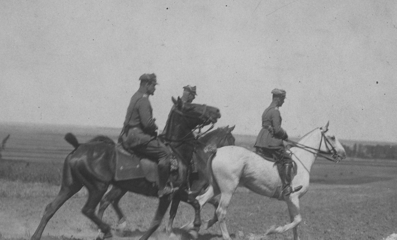 Błękitna Armia Hallera