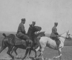 Błękitna Armia Hallera
