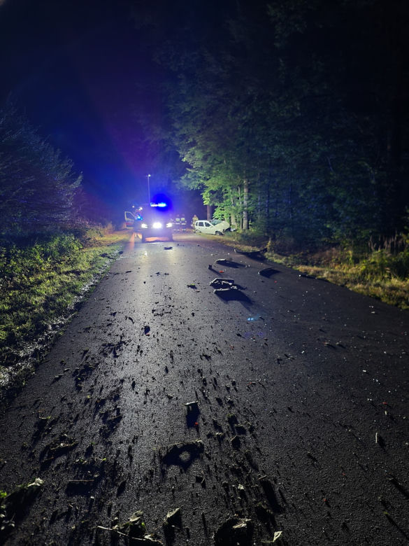 Potworny wypadek pod Mińskiem Mazowieckim. Opel rąbnął w drzewo. Dwie osoby nie żyją