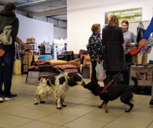Miłośnicy czworonogów opanowali galerię BWA! Za nami pierwsze PupiLove Targi w Katowicach [ZDJĘCIA, AUDIO]
