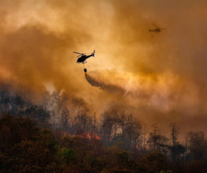 Nagrał tajemnicze słowa pani burmistrz, chodzi o pożary. Czytaj między wierszami