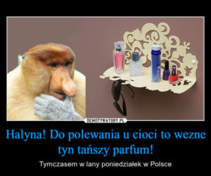 Śmigus-dyngus. Najlepsze MEMY na Lany Poniedziałek