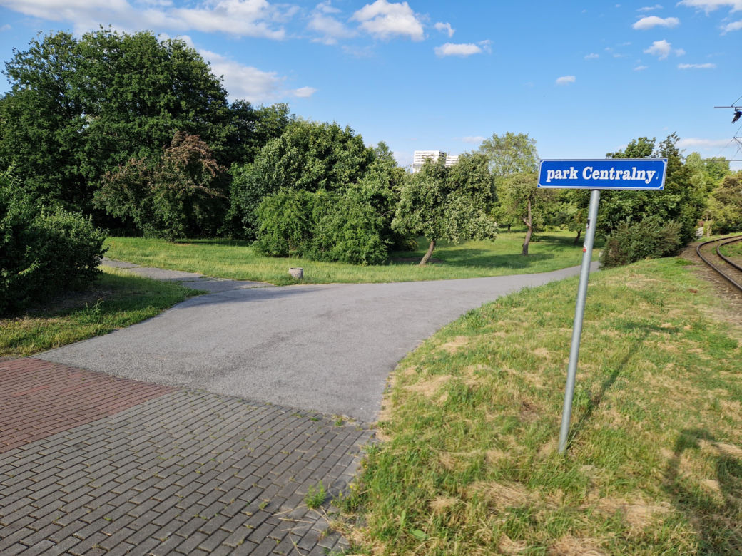 Park Centralny przed wielką zmianą! Zobacz, gdzie powstanie kąpielisko