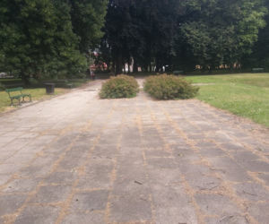 Park przy Dąbrowskiego w Rzeszowie