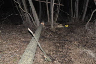 Sąsiad dokonał wstrząsającego odkrycia. Śmiertelny wypadek w lesie pod Terespolem