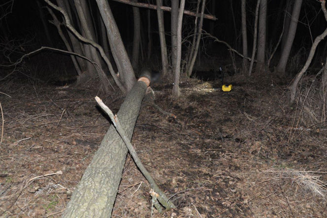 Śmiertelny wypadek w lesie pod Terespolem. Nie żyje 70-letni mężczyzna