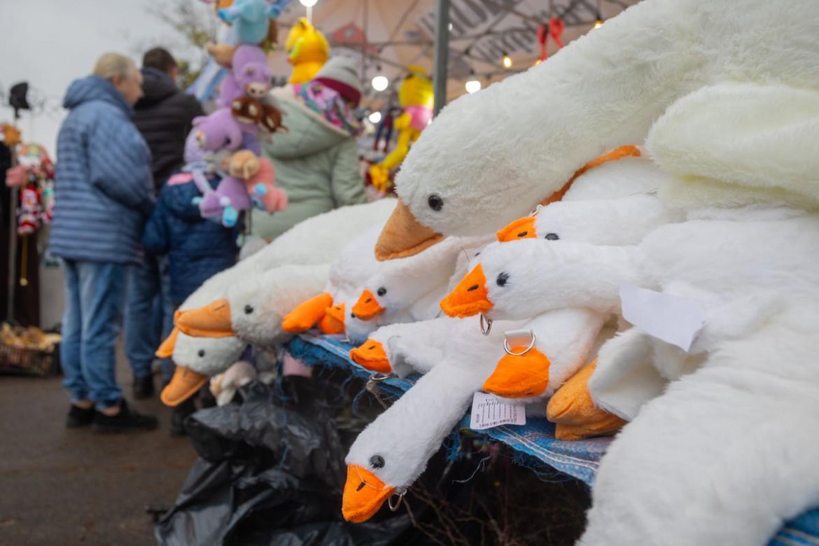 Kujawsko-Pomorski Festiwal Gęsiny 2025: Pokaz Michela Morana i tłumy uczestników