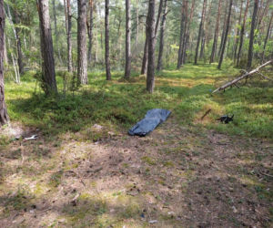 Tragedia podczas wycinki drzew. Olbrzymi konar zmiażdżył Pawła w lesie