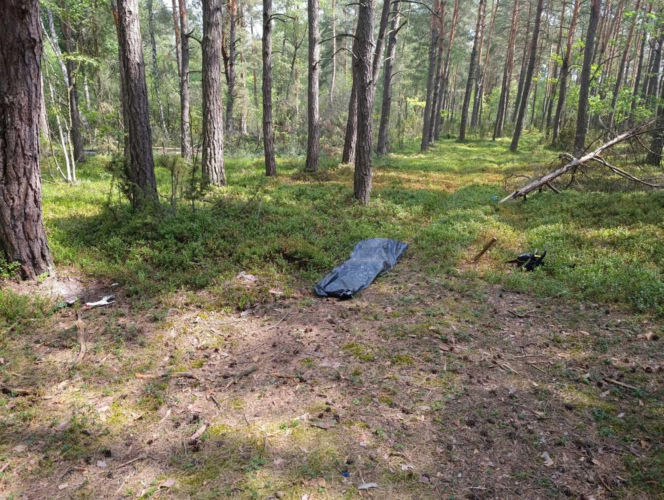 Tragedia podczas wycinki drzew. Olbrzymi konar zmiażdżył Pawła w lesie