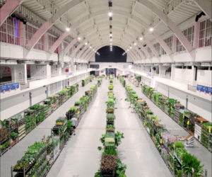 Wiosenna edycja Festiwalu Roślin